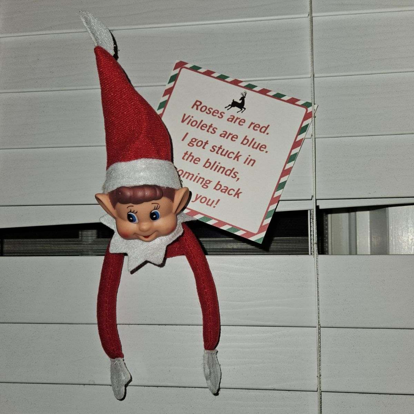 Elf Survival Kits